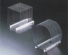 ���w�p�Ήp�K���X���(���)