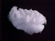 �Ήp�K���X�E�[��